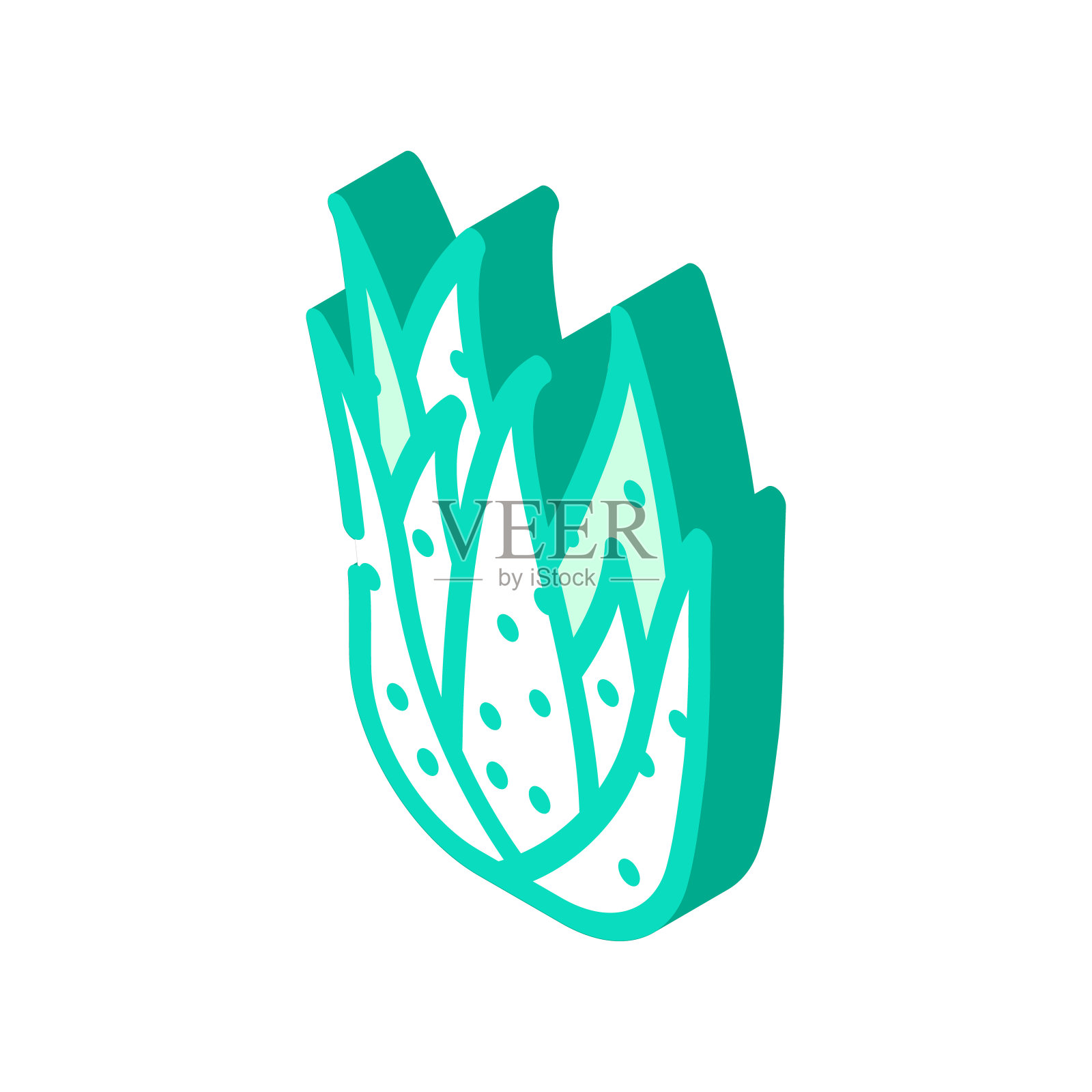 天然芦荟等距图标矢量插图设计元素图片