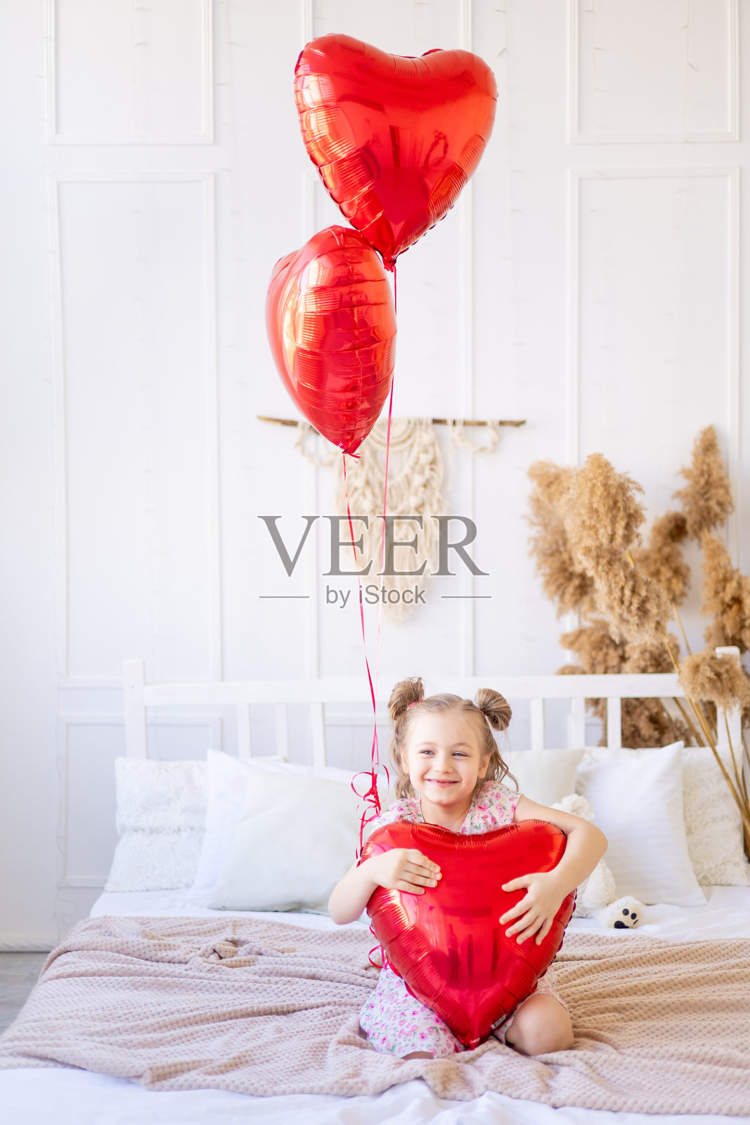 一个小女孩在一个平静的自然室内，红色的气球在一个心脏的形式，正在玩得很开心。情人节概念照片摄影图片