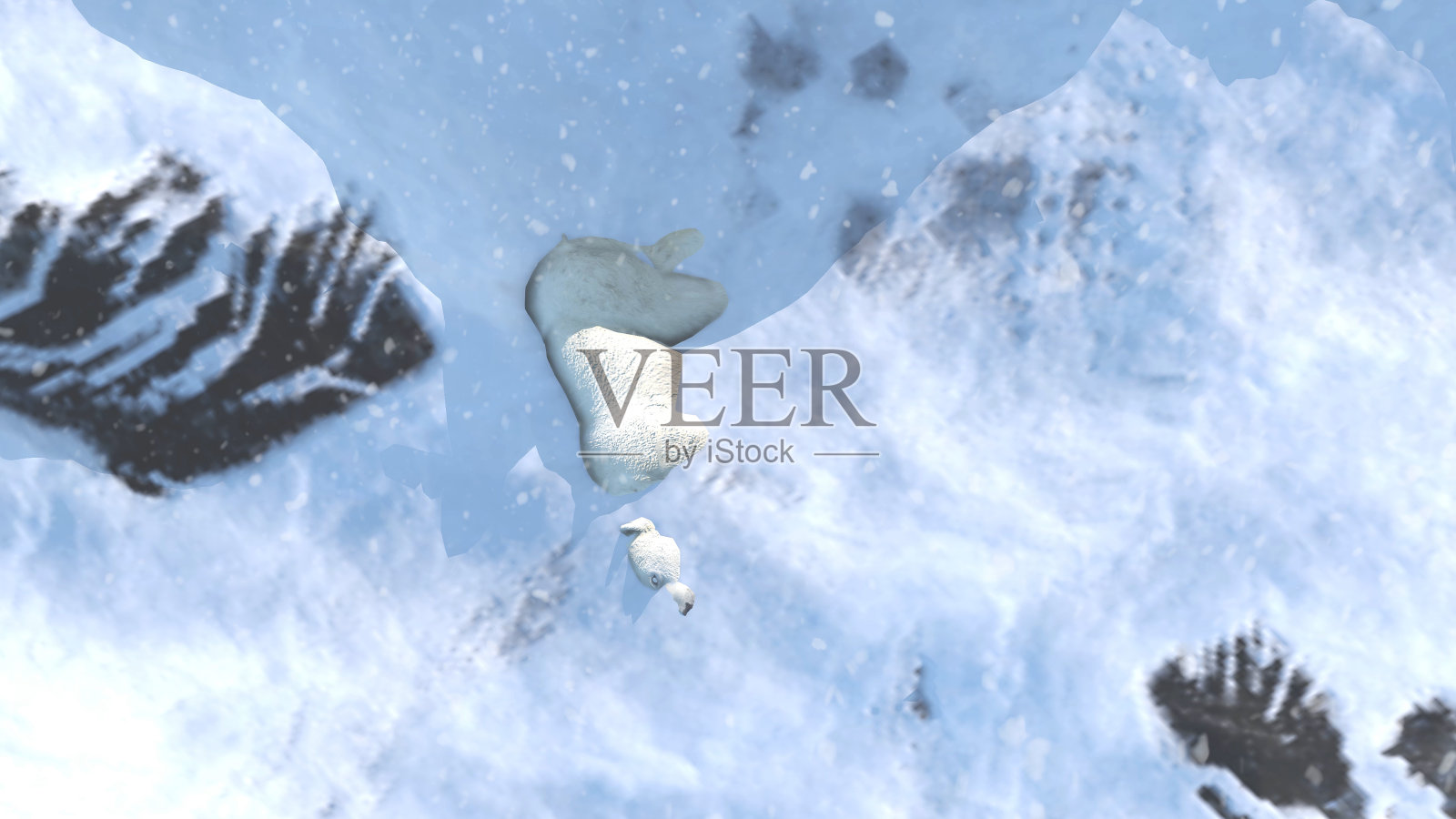 航拍雪地峡谷中的冻僵北极熊尸体照片摄影图片