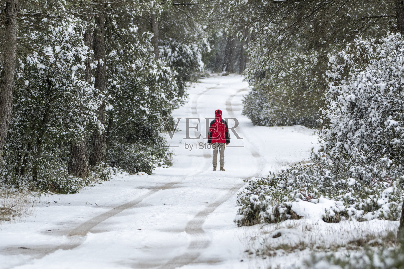 一个穿着红色外套的男人走在一条被雪覆盖的土路上照片摄影图片
