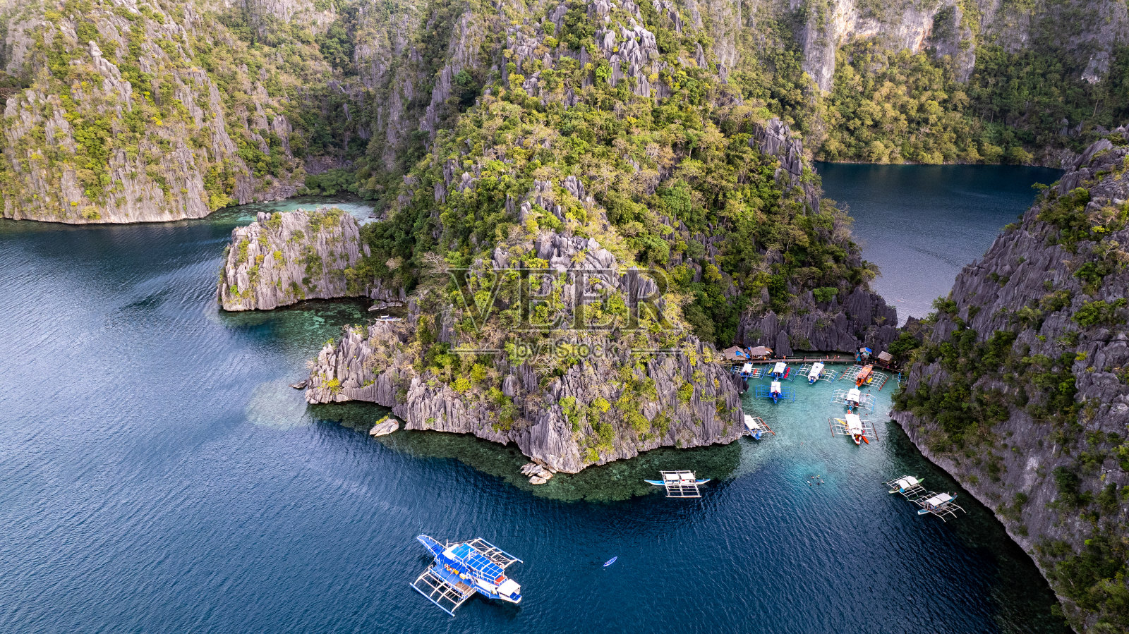 船和热带装饰照片摄影图片