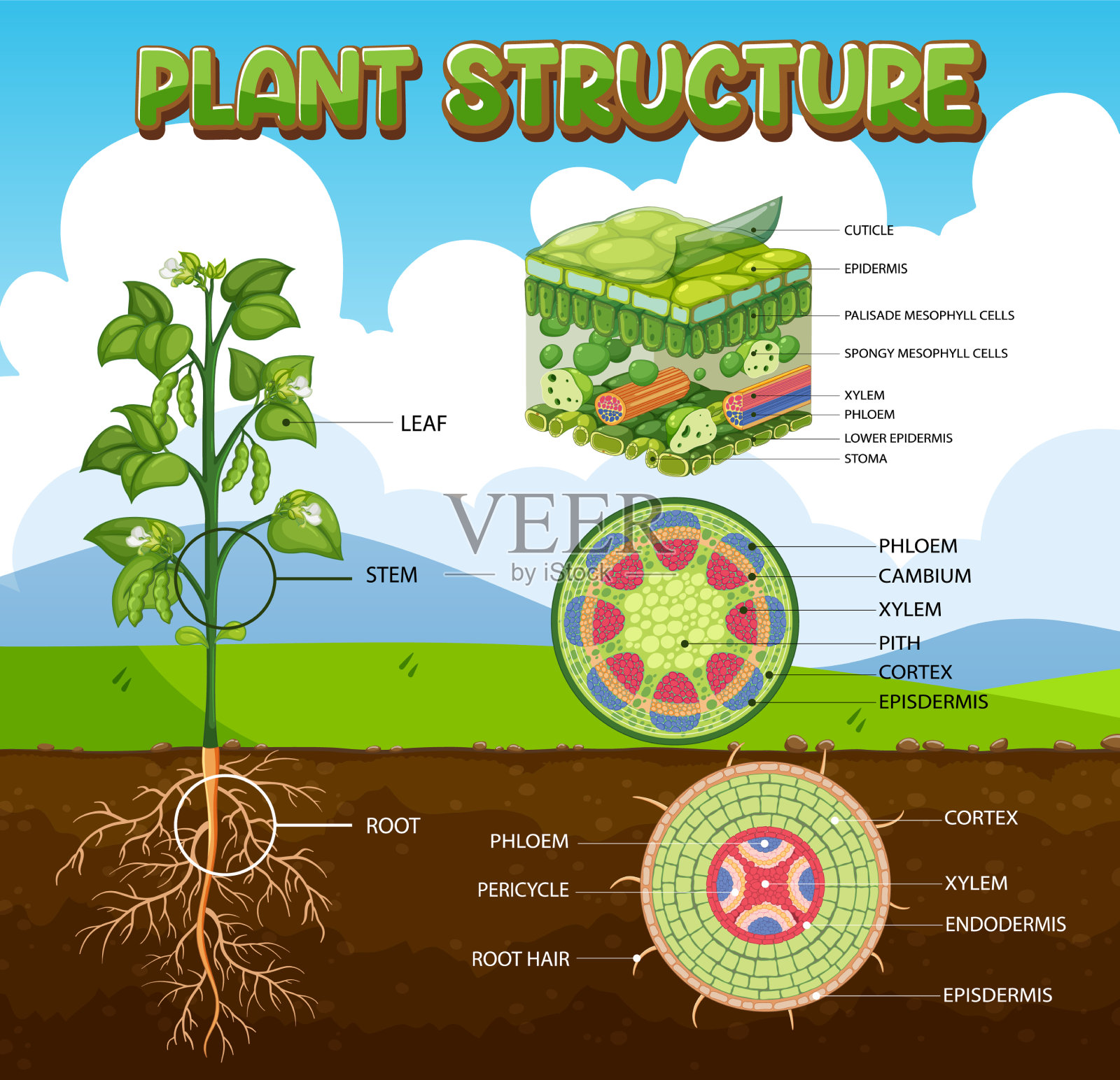 工厂图的内部结构插画图片素材