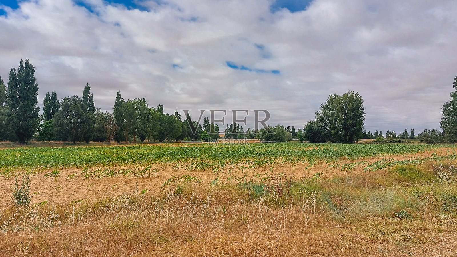 景观照片摄影图片