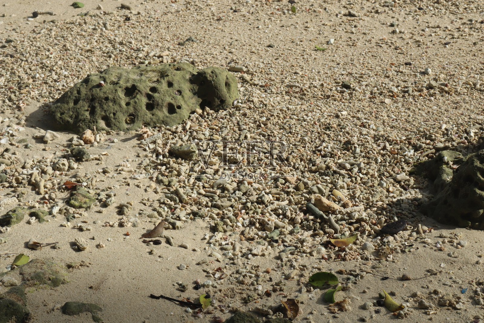 海滩照片摄影图片