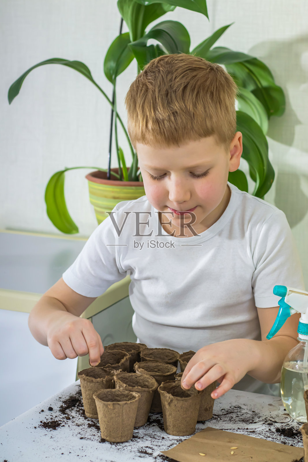 快乐的男孩把种子放在家里有土壤的环保花盆里照片摄影图片