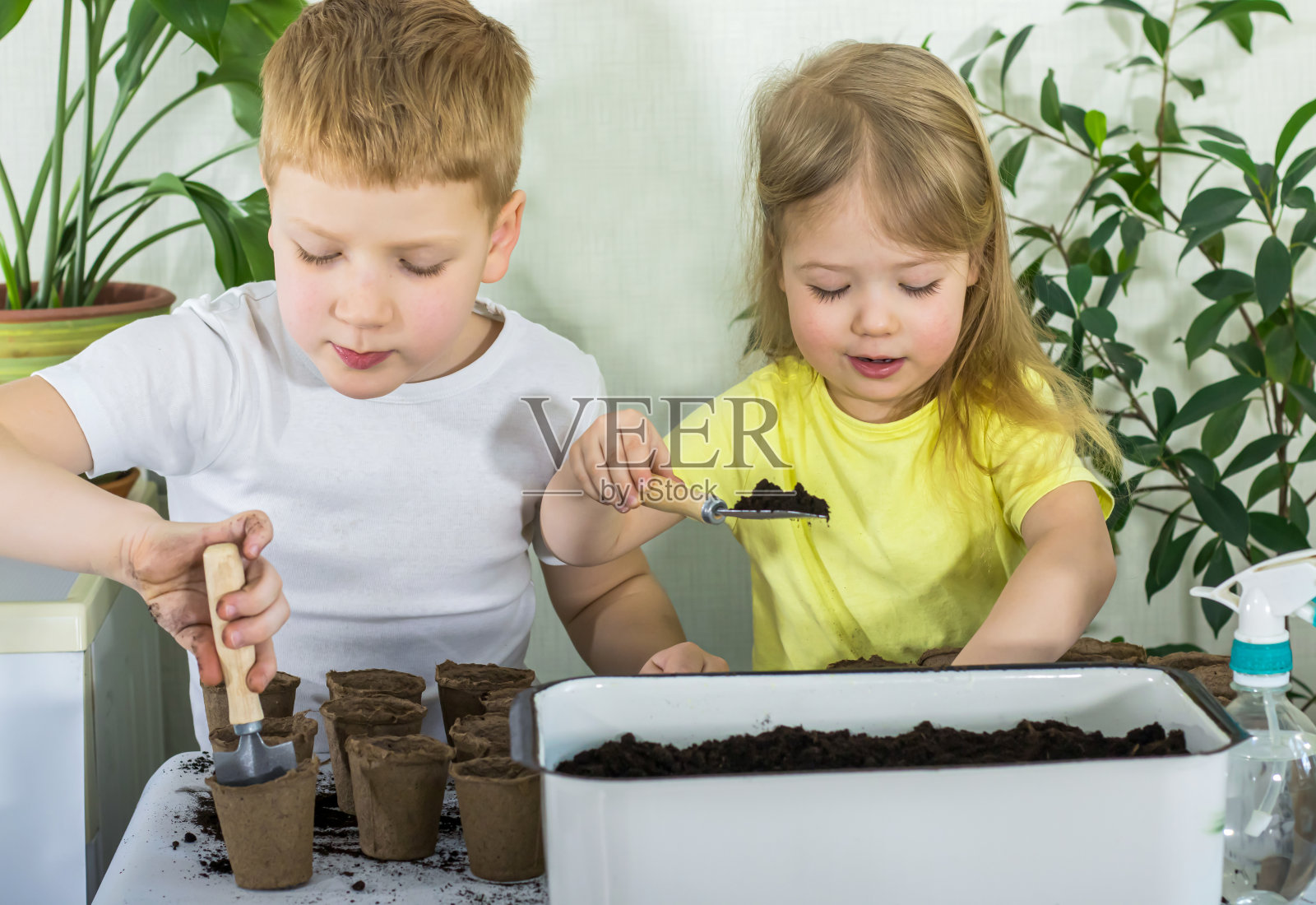 两个男孩和女孩正在准备装有土壤的花盆，为新的春天播种种子照片摄影图片