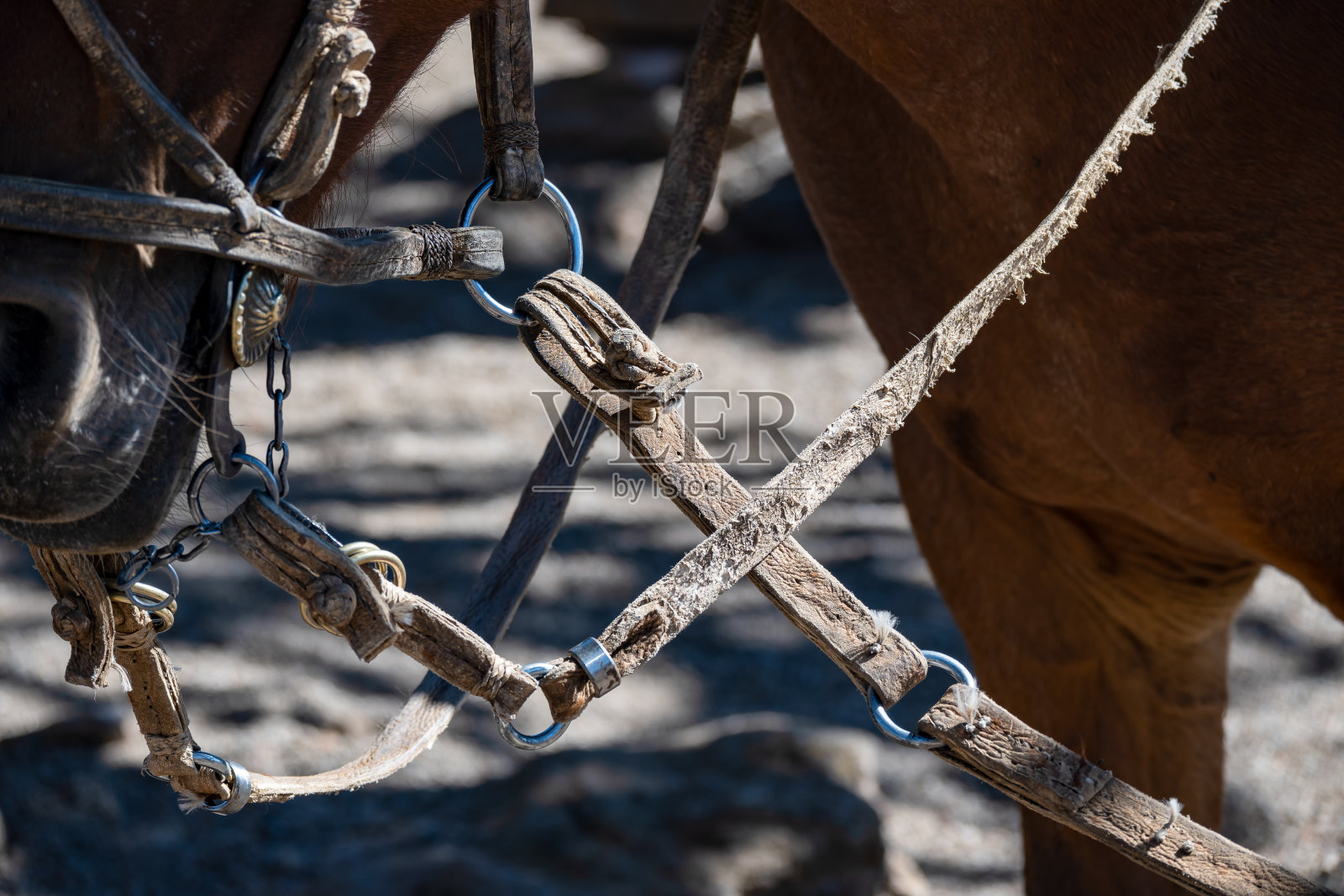 南美瓜乔人手工制作的骑马装备，由皮革和金属制成照片摄影图片