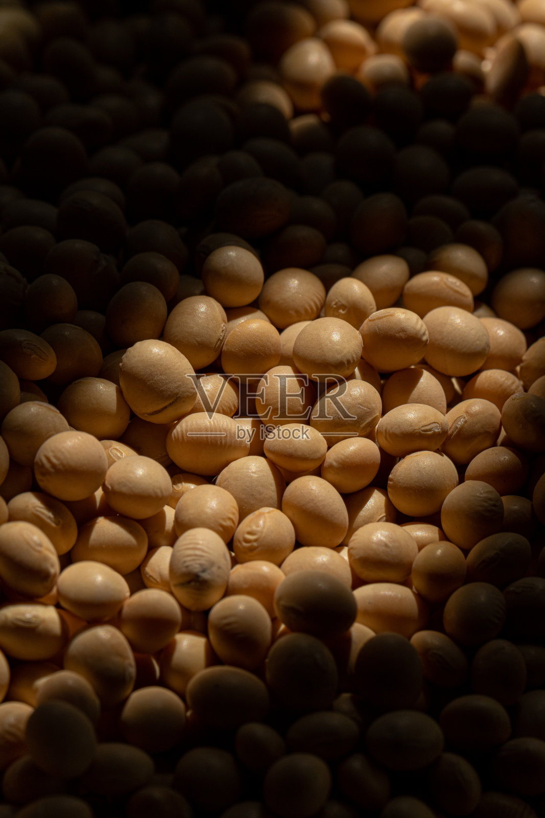 特写镜头的大豆种子谷物在一个袋子与阳光。大豆。大豆。健康的生产。素食主义者。照片摄影图片