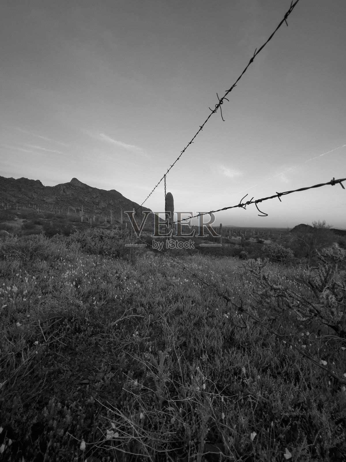 《连线》杂志照片摄影图片