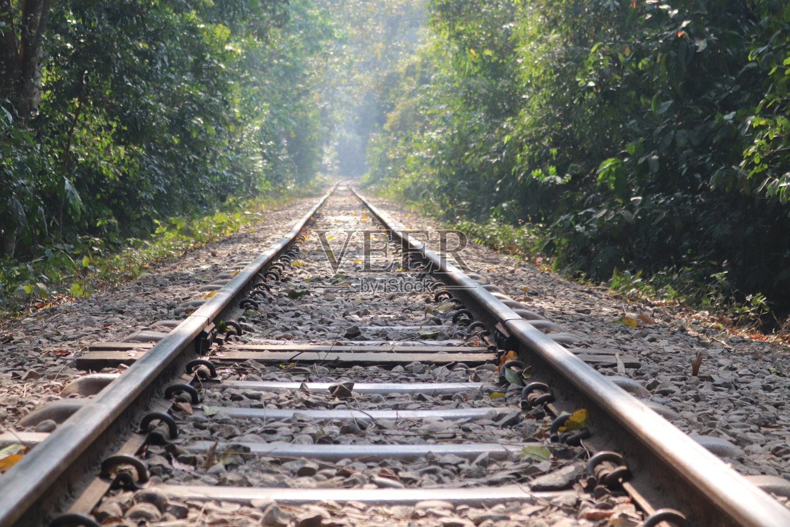 一条从孟加拉国出发的长铁路照片摄影图片