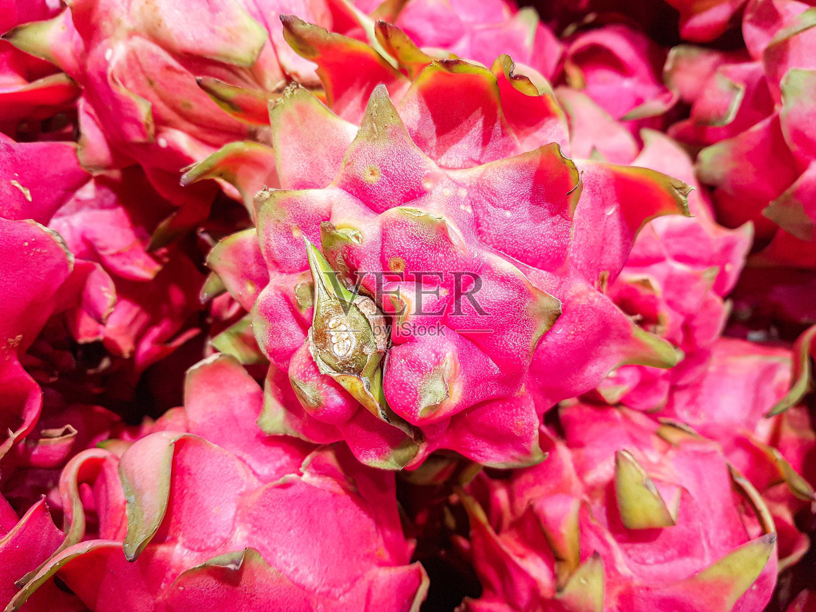 近距离观察新鲜火龙果照片摄影图片