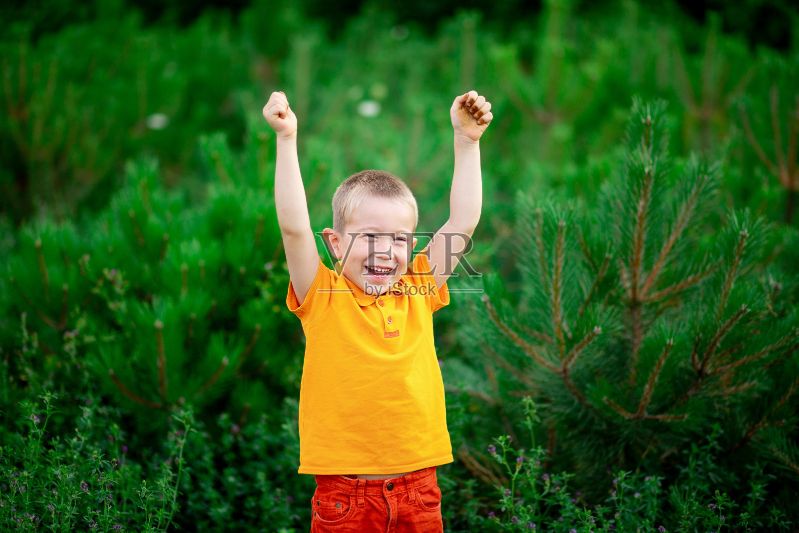 一个快乐的孩子，一个穿着橙色衣服的男孩站在夏天的绿草地上，举起双手照片摄影图片