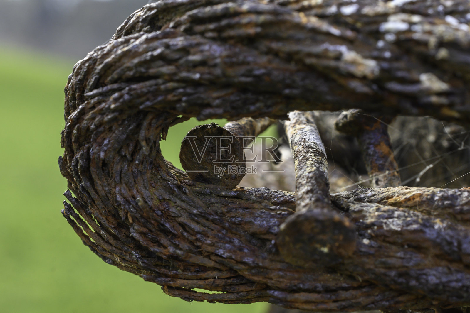 近距离的两个非常生锈的钢钉周围的旧生锈的脂肪旧磨损的钢索。照片摄影图片