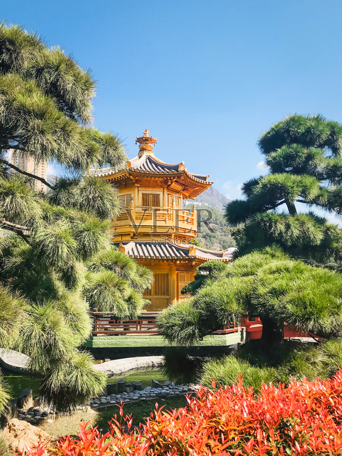 香港公园里的金色亭子照片摄影图片