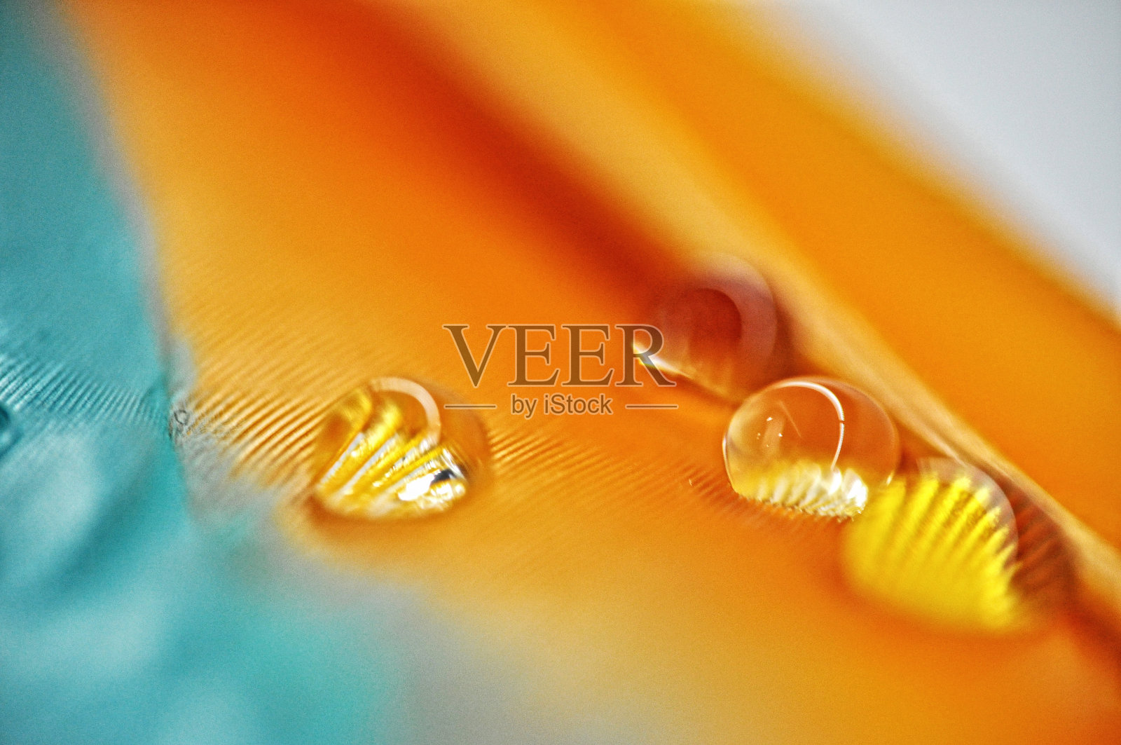 彩色染色鸭羽毛上的水滴在橙色和蓝色的露珠上特写照片摄影图片