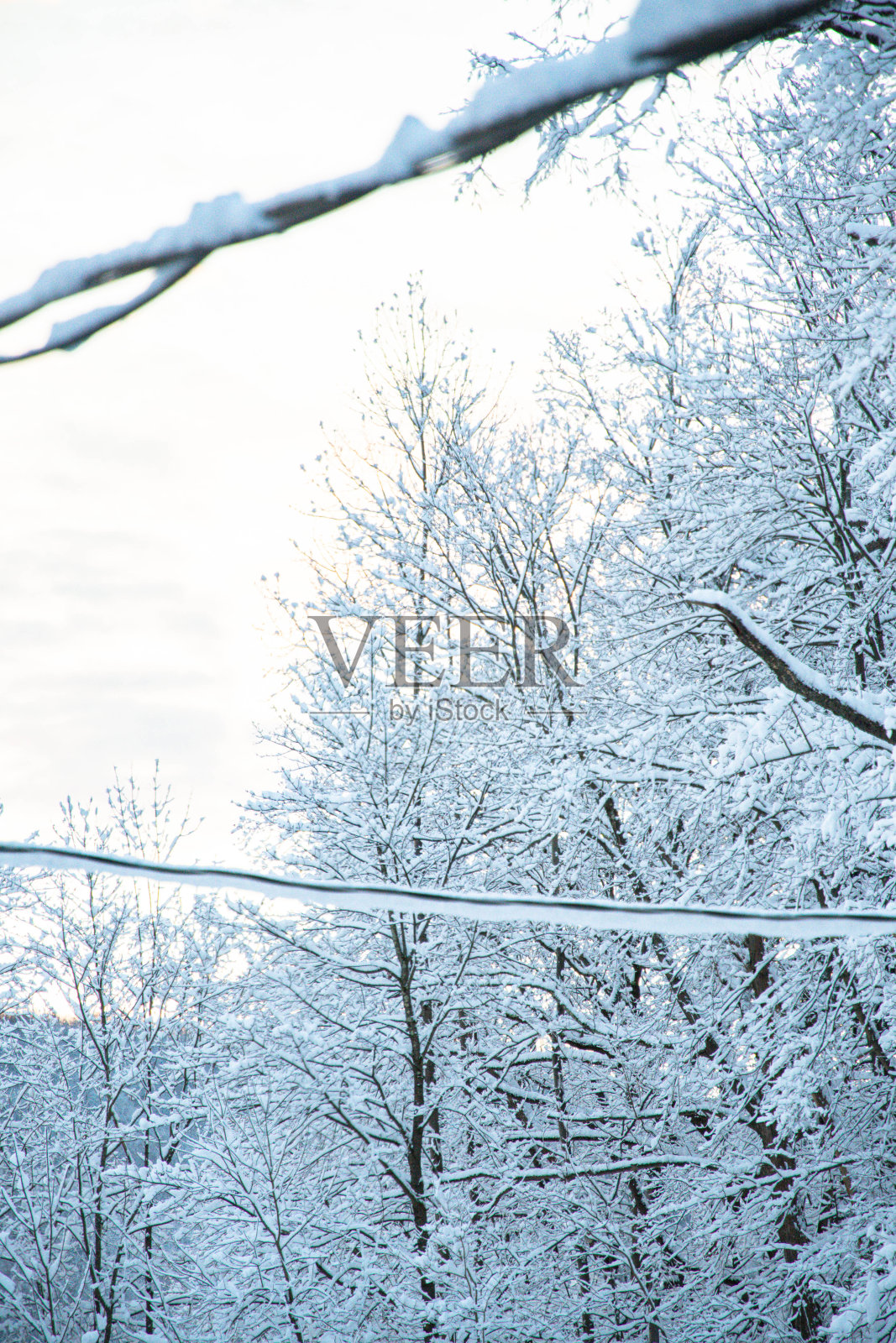 新鲜的厚雪覆盖了树木和建筑物美国山谷小镇照片摄影图片