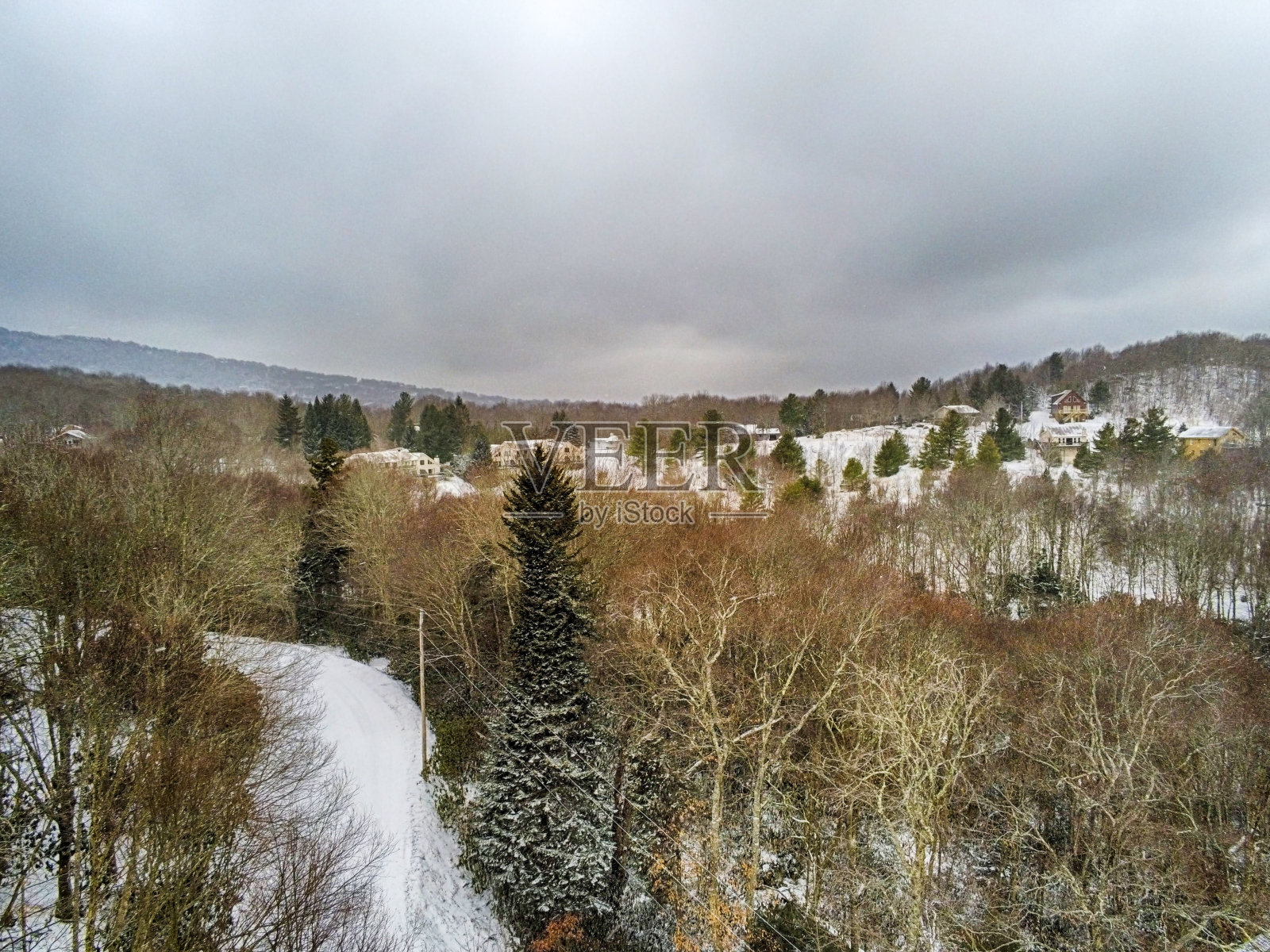 北卡罗莱纳的旗帜麋鹿一月冬天的场景照片摄影图片