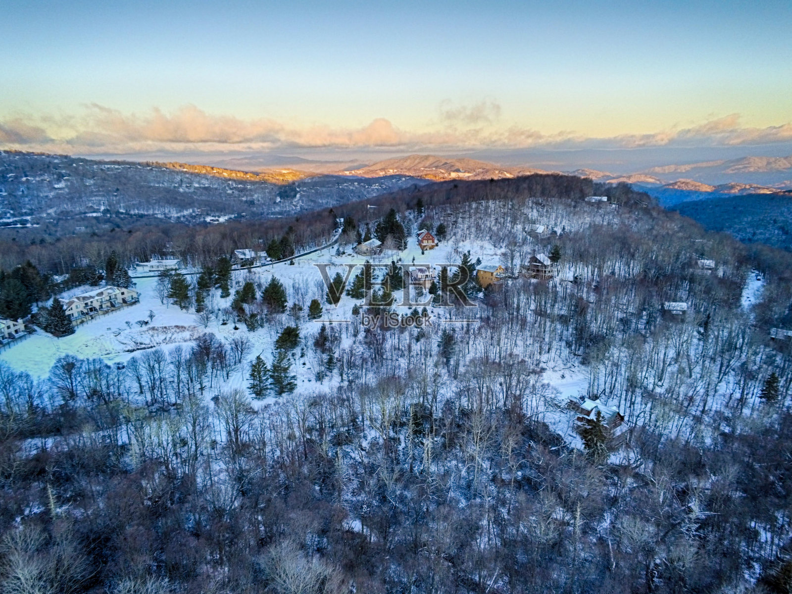 北卡罗莱纳的旗帜麋鹿一月冬天的场景照片摄影图片