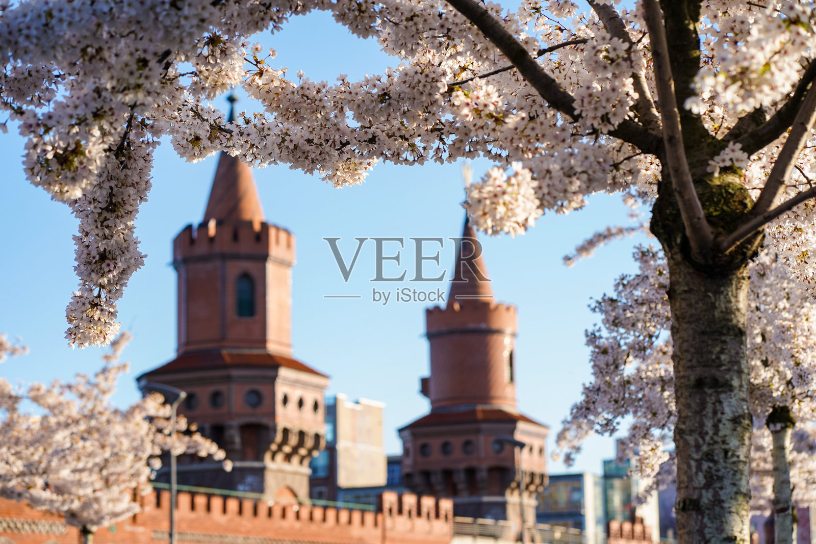 柏林城，春天从历史悠久的奥伯鲍姆桥上俯瞰塔楼，前景是白粉色的樱花，蓝色的天空万里无云照片摄影图片