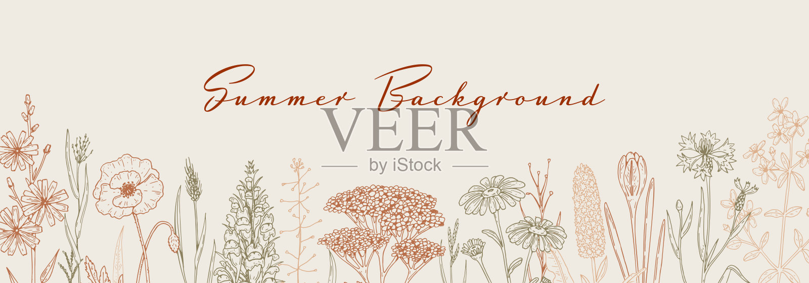 草地花朵背景。手绘田野野花边框。矢量插图素描风格。美学植物学横向设计插画图片素材