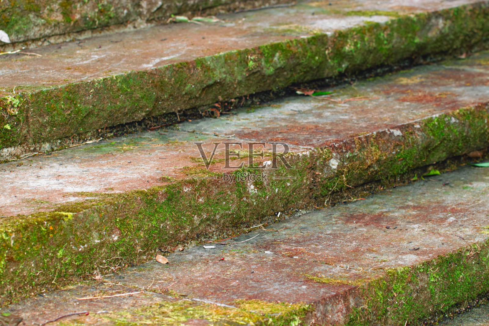 在一个自然公园里，苔藓覆盖着由精确切割的石头制成的古老的石头楼梯。照片摄影图片