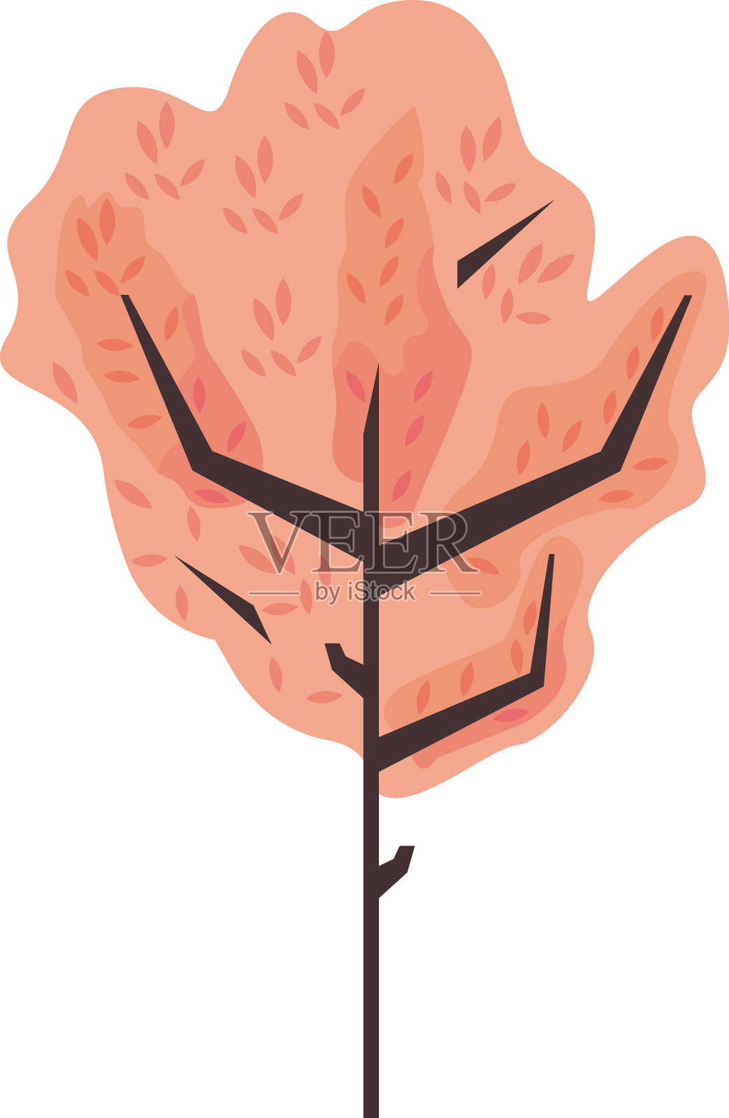 柑桔人工林插画图片素材