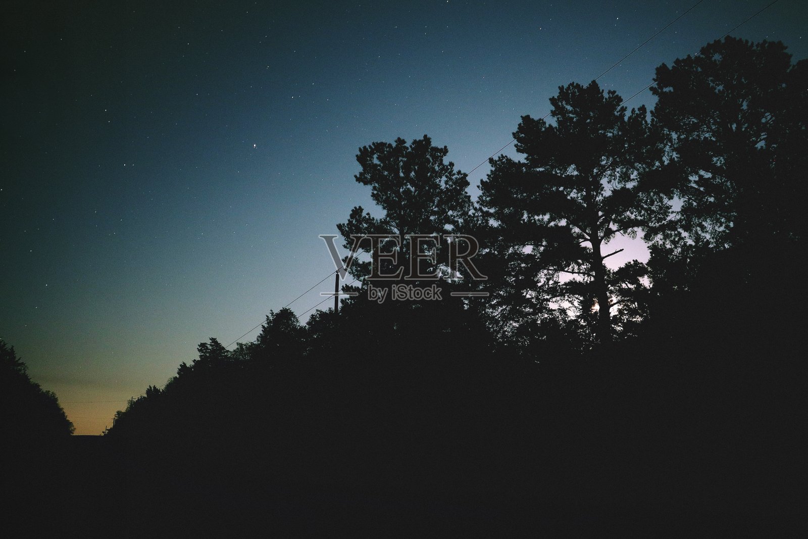 乡村夜景与松树的月光背光照片摄影图片