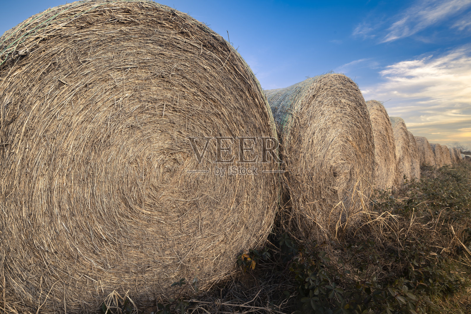 冬天的干草捆照片摄影图片