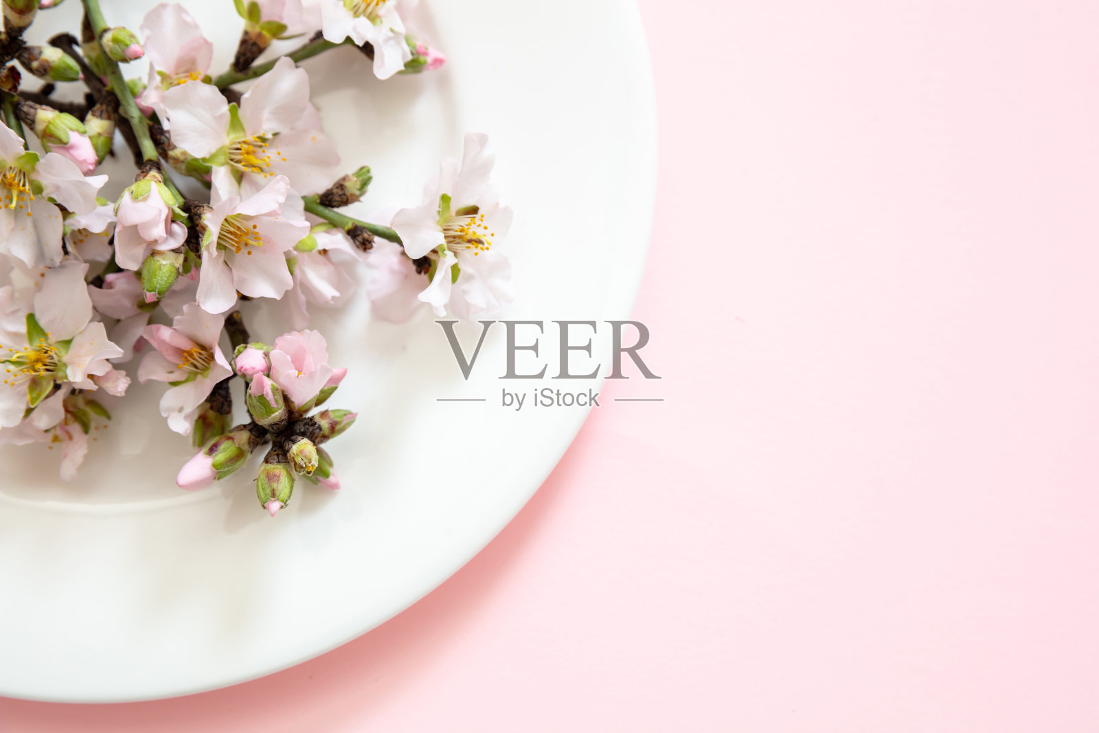 复活节餐桌装饰，杏仁花和复活节彩蛋放在白色盘子上，粉红色背景。照片摄影图片