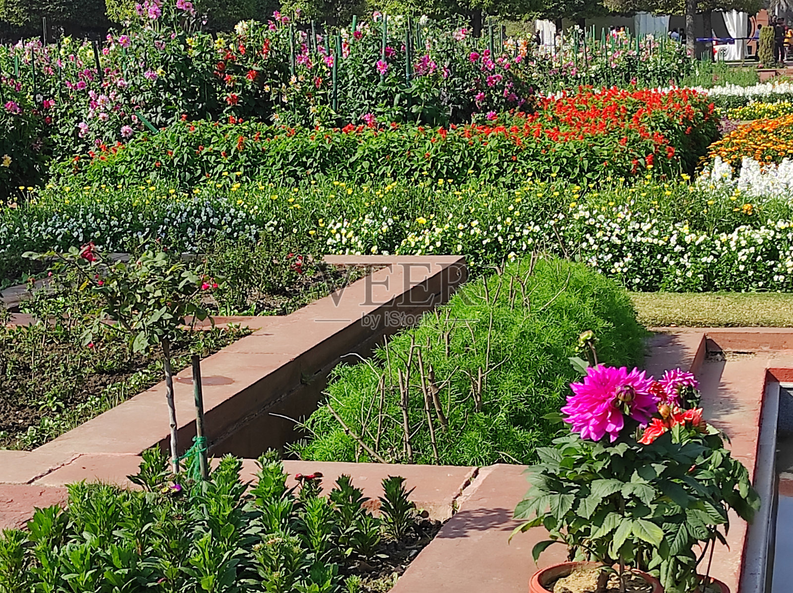 印度新德里的花园景观照片摄影图片