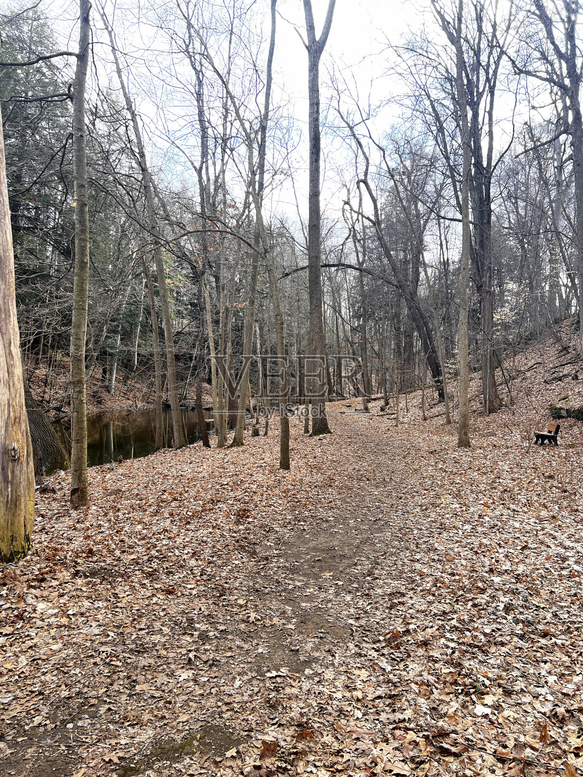 小溪边的小路照片摄影图片