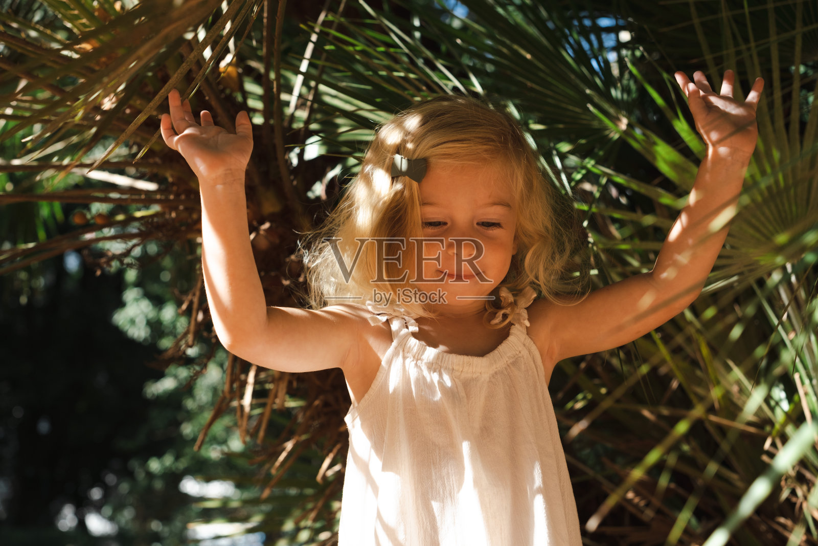 可爱的白人漂亮的金发两岁女孩，蹒跚学步，孩子在大绿色的异国植物。天然美丽，完美肌肤，健康化妆品理念照片摄影图片