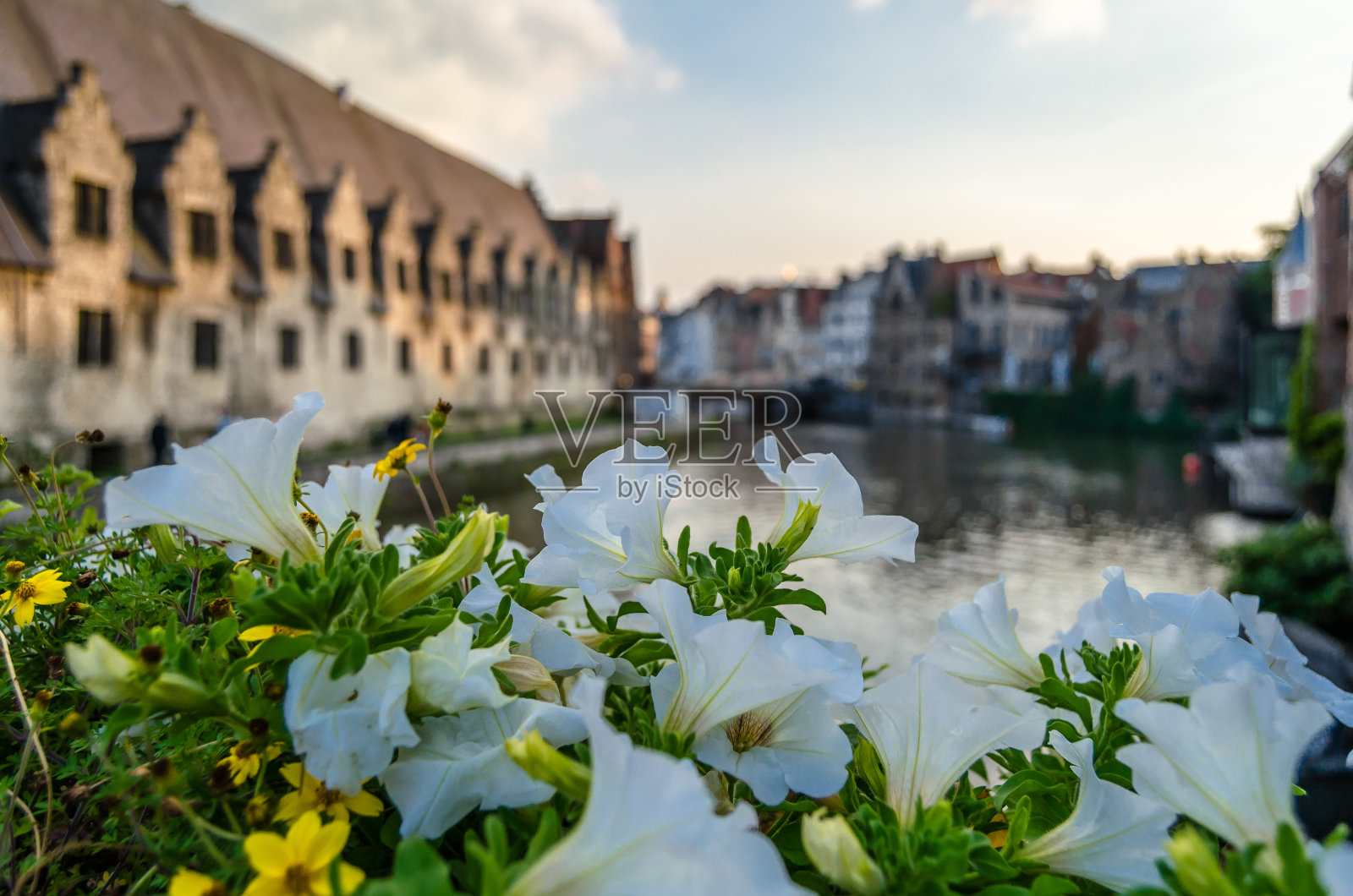 比利时根特桥上的鲜花照片摄影图片