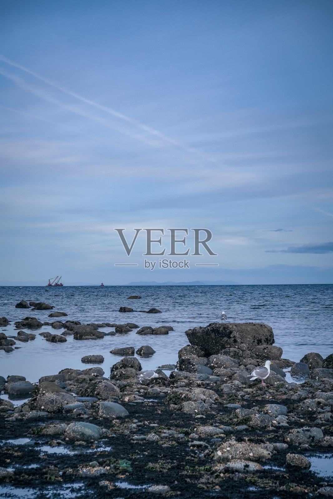 加拿大BC省温哥华岛坎贝尔河海滩上的岩石照片摄影图片