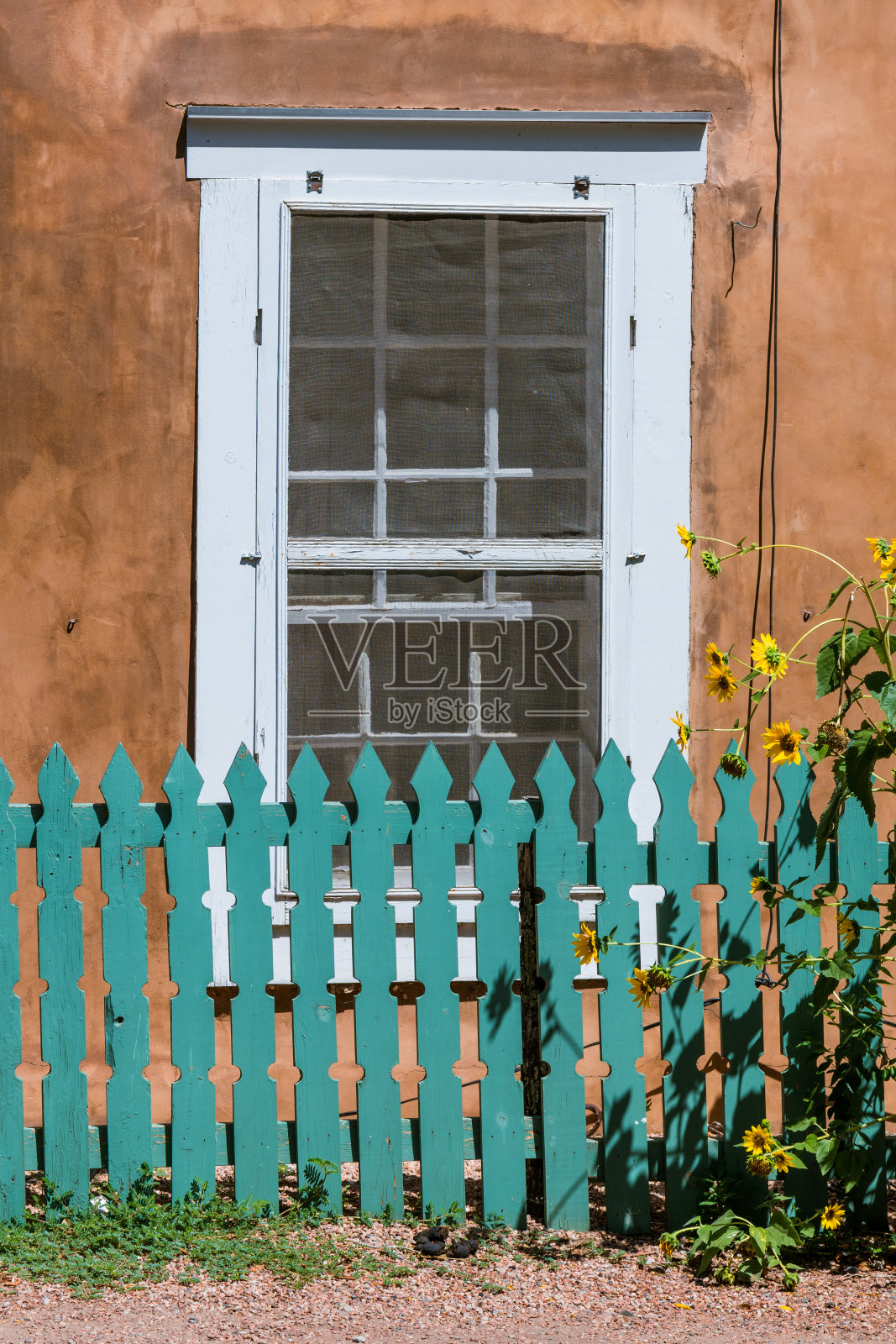 向日葵，栅栏，窗户，土坯墙的垂直视图，在圣达菲，NM照片摄影图片
