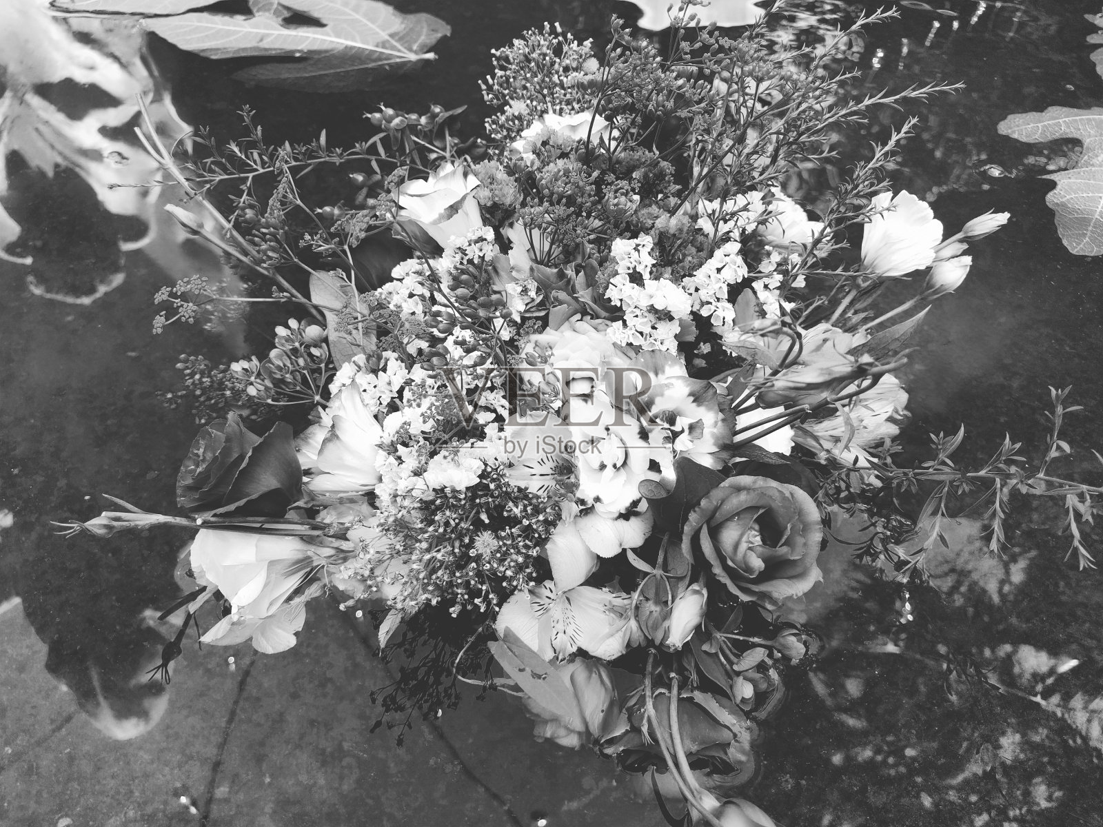 一束玫瑰花漂浮在池塘的水中。摘来的花蕾作为暑假的装饰。伊凡·库帕拉夏至节。黑白单色摄影复古复古风格照片摄影图片