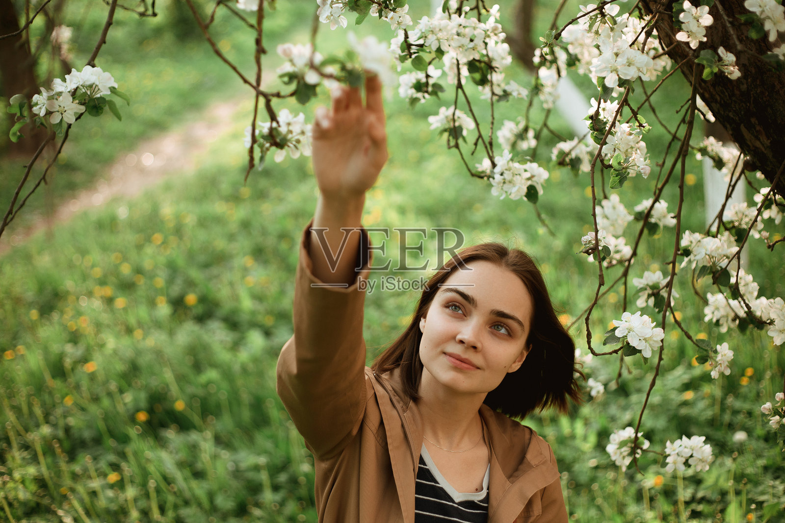 春天花园里，女人抚摸着盛开的树上的花朵照片摄影图片