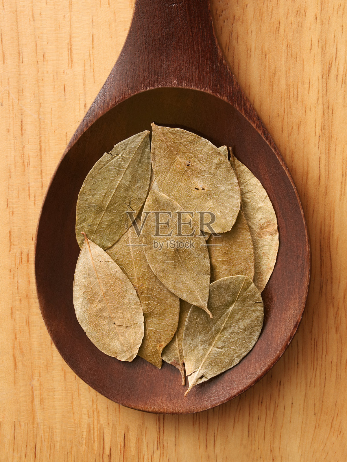 干古柯叶照片摄影图片