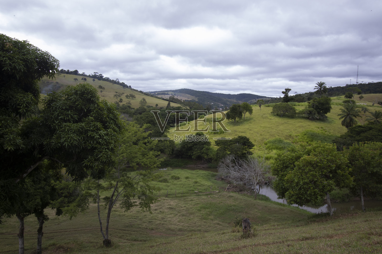 山与树照片摄影图片