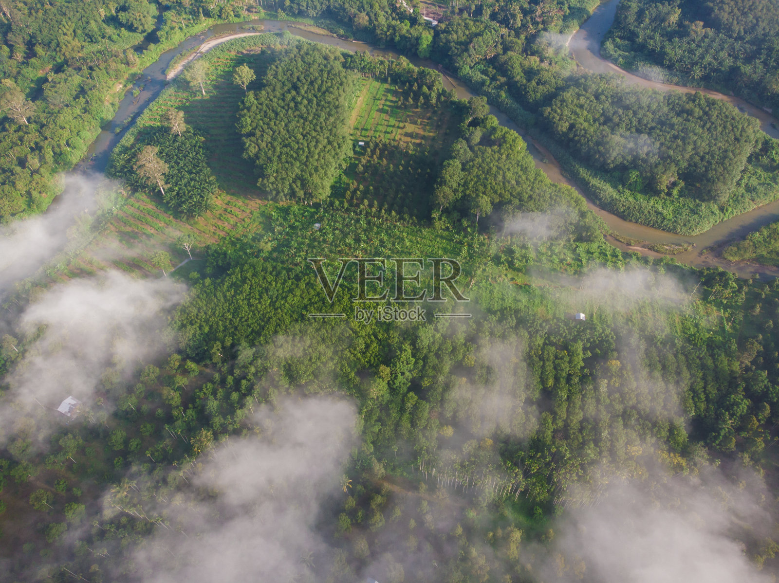 鸟瞰河流曲线与热带雨林照片摄影图片
