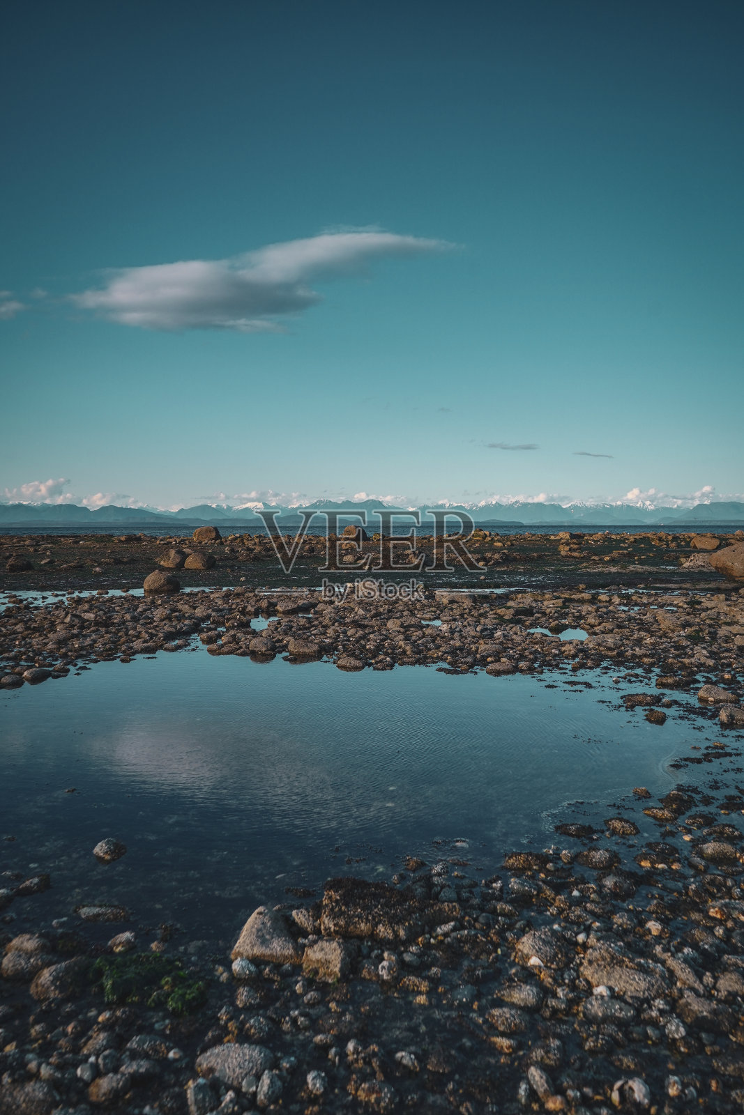加拿大BC省温哥华岛坎贝尔河海滩上的岩石照片摄影图片