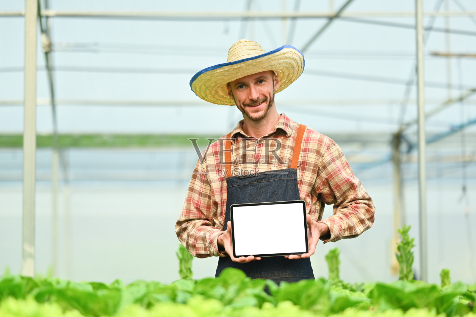 微笑的白人男性有机农民拿着平板电脑和空屏幕站在水培温室。照片摄影图片