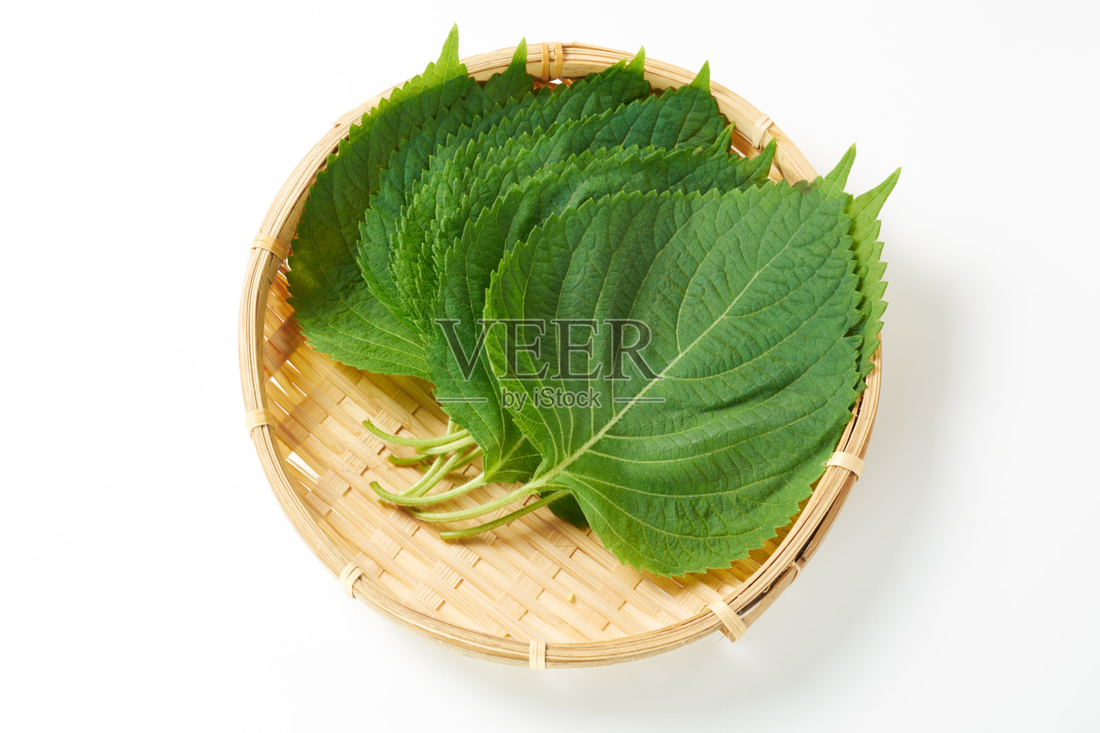 在日本和亚洲可以食用的叶子照片摄影图片