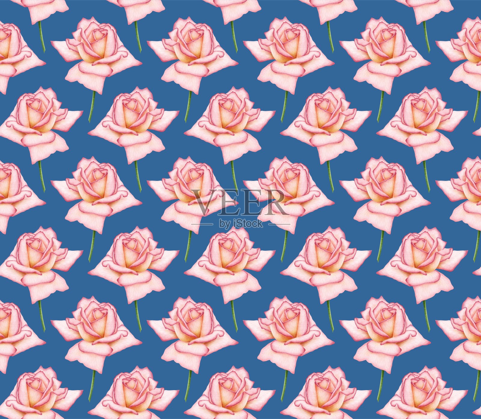 蓝色无缝背景与盛开的数字水彩粉红玫瑰插画图片素材