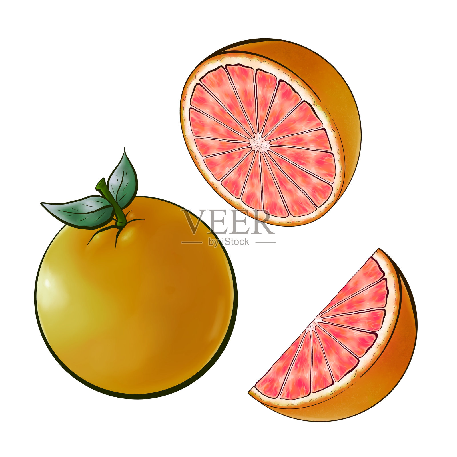 葡萄柚设计元素图片