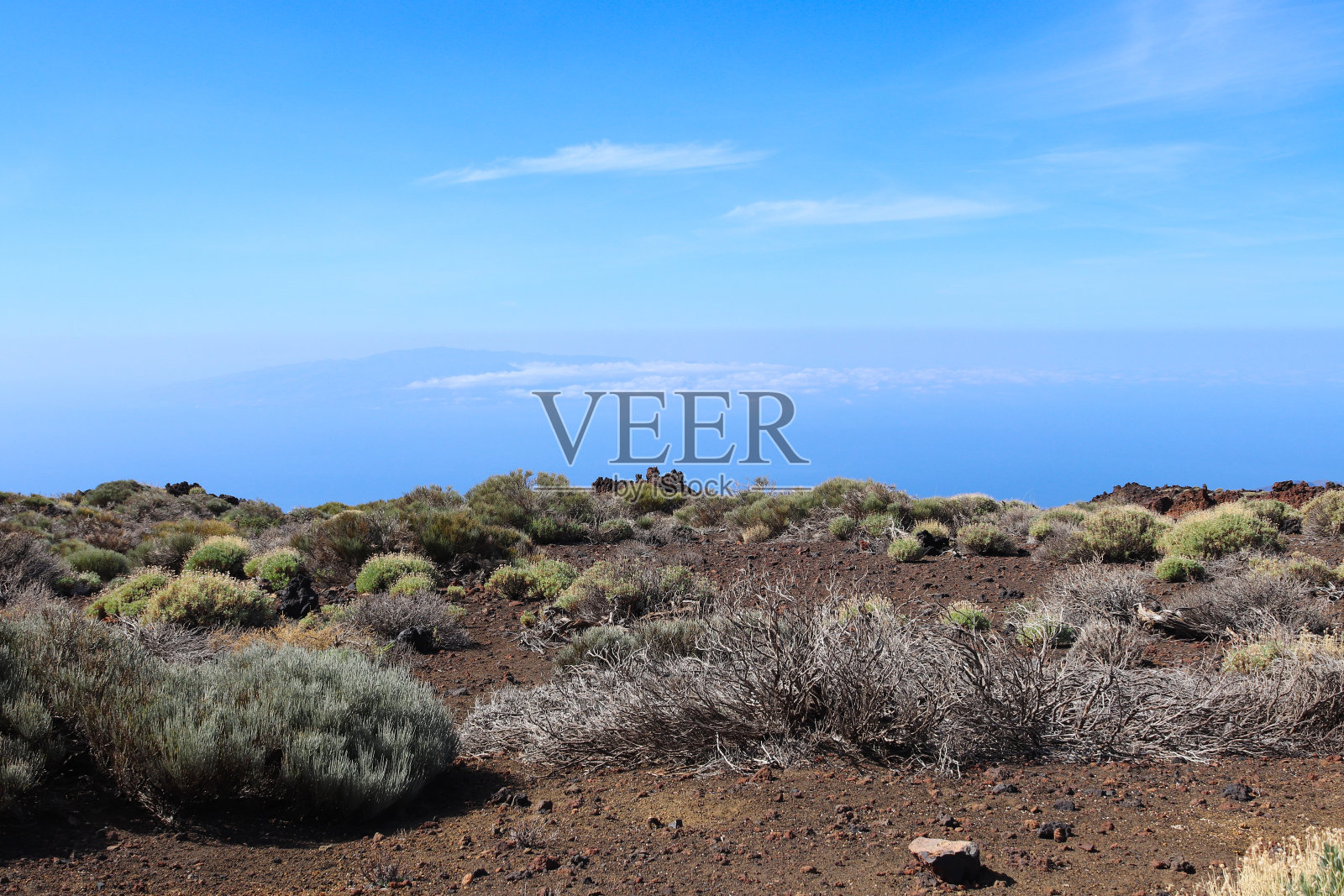 特内里费岛野生自然景观照片摄影图片