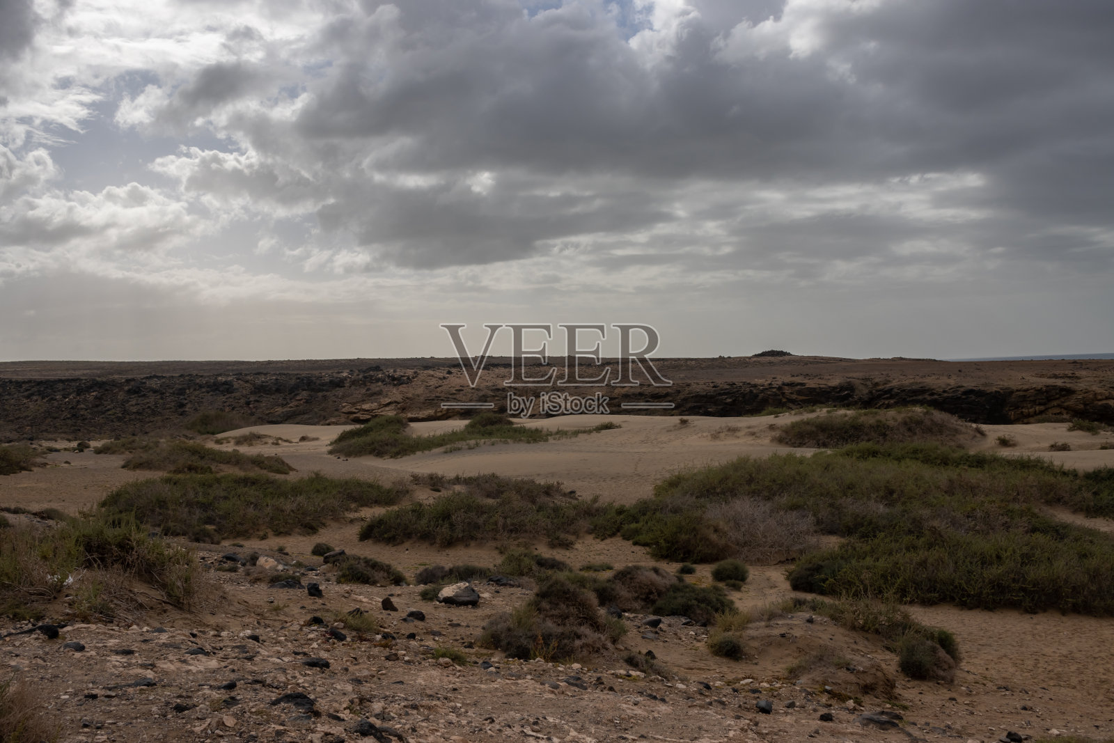 富埃特文图拉西海岸的陆地照片摄影图片