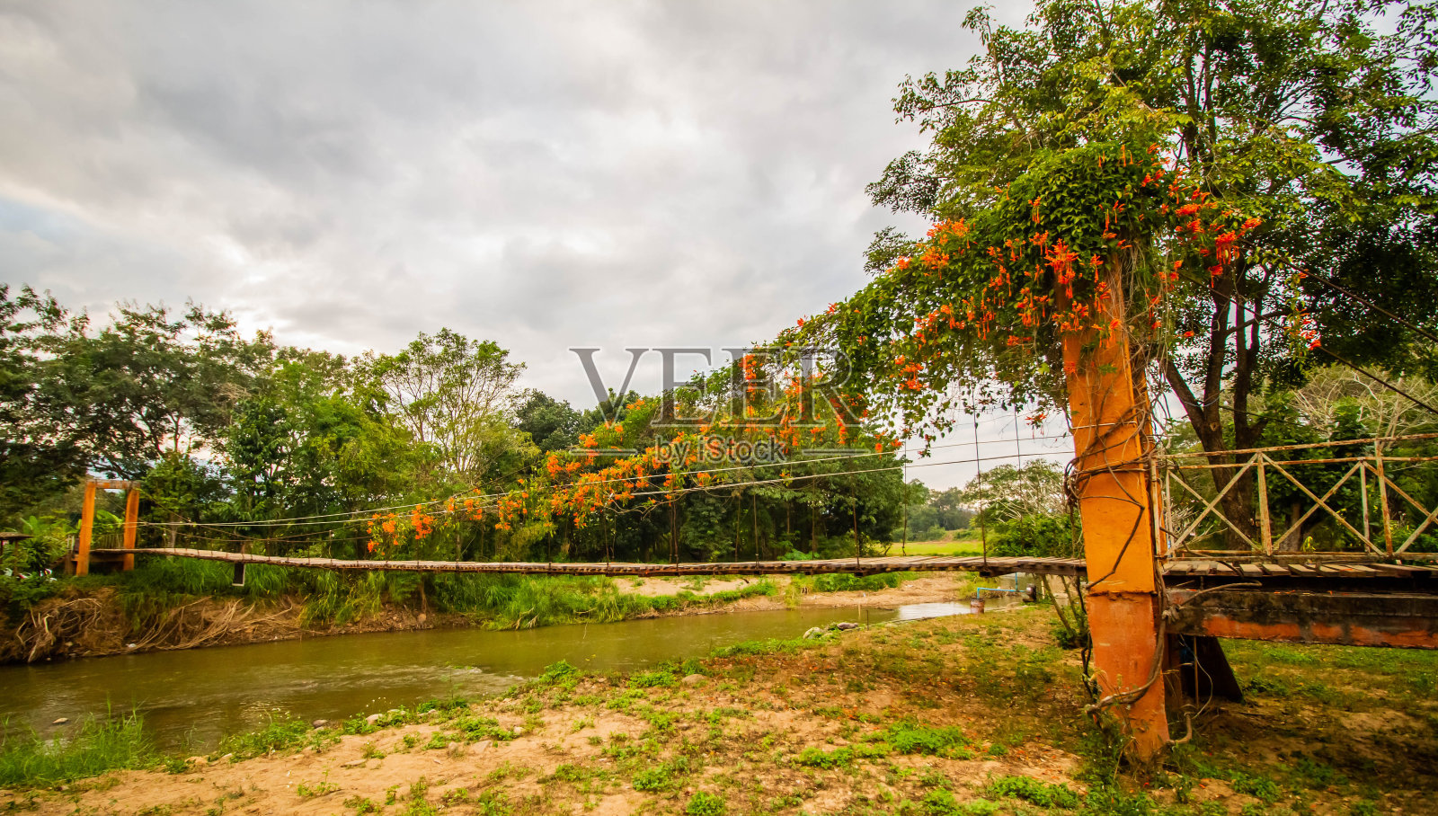 木桥照片摄影图片