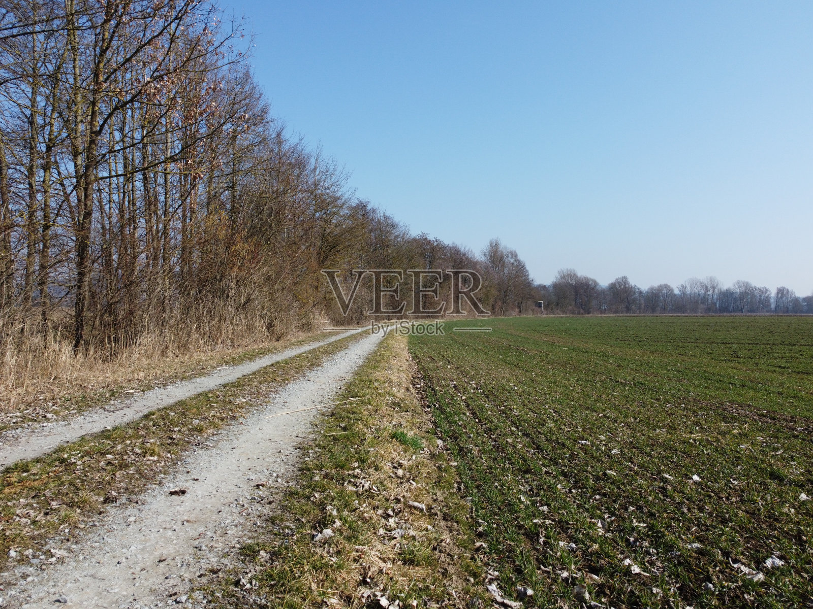 德国收获田和森林的鸟瞰图照片摄影图片