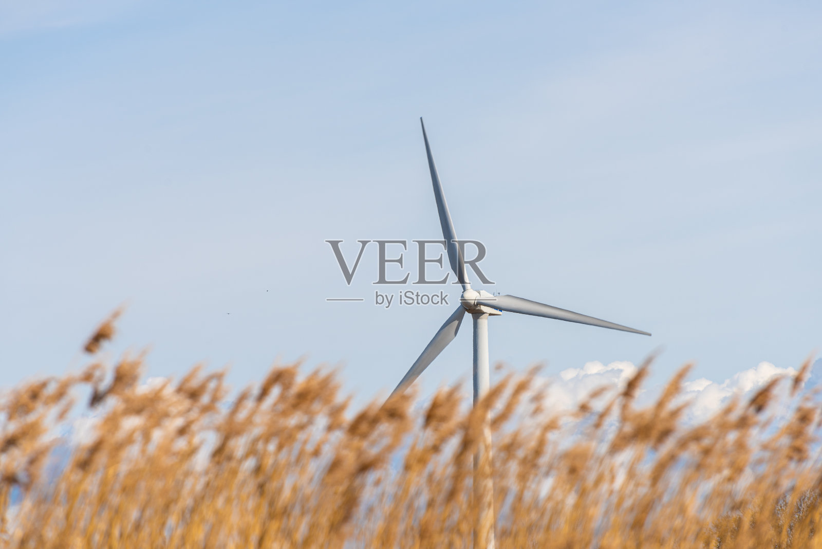 风力发电机在草地上。照片摄影图片